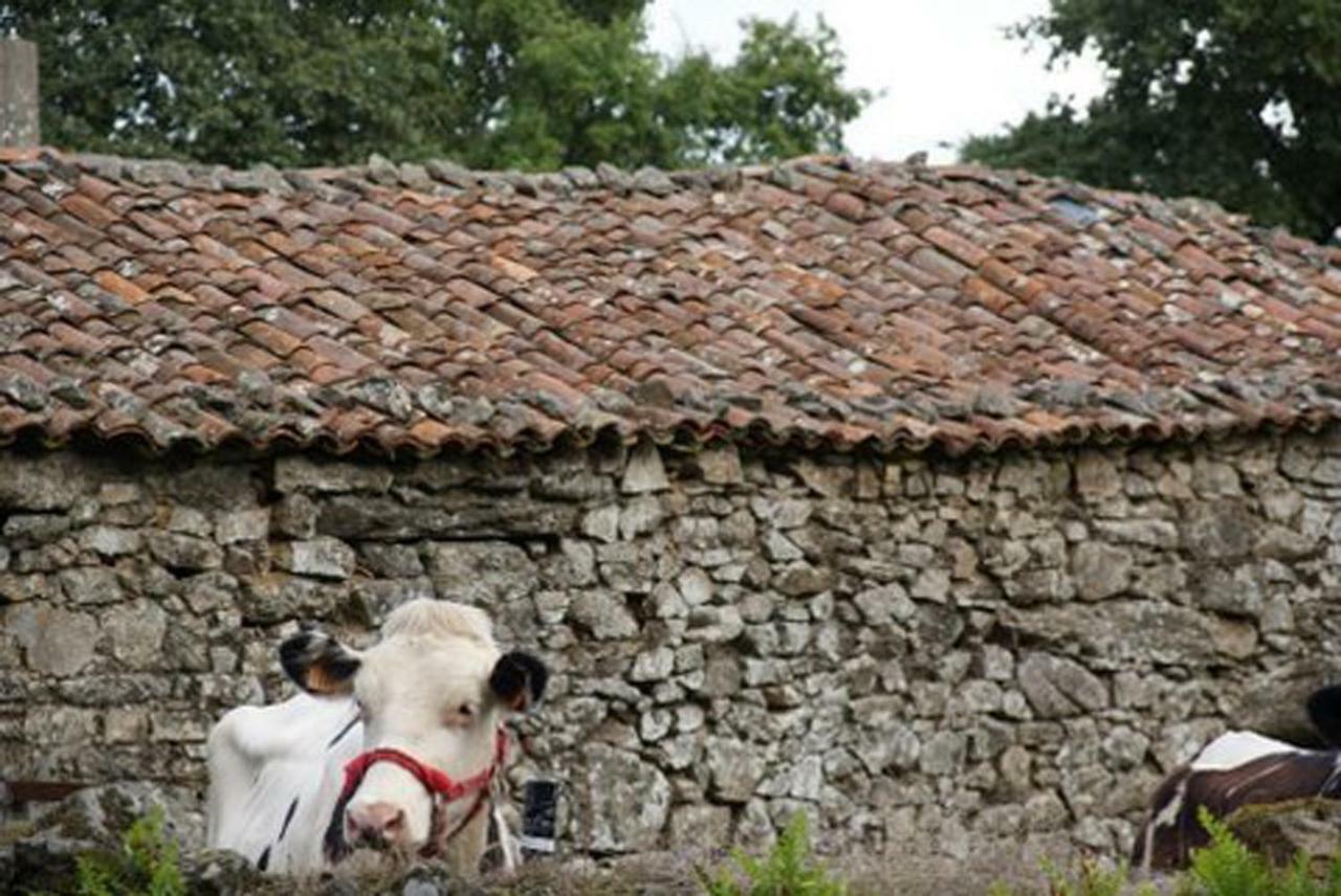 Stone Cottage Fisterra Curtis Kültér fotó